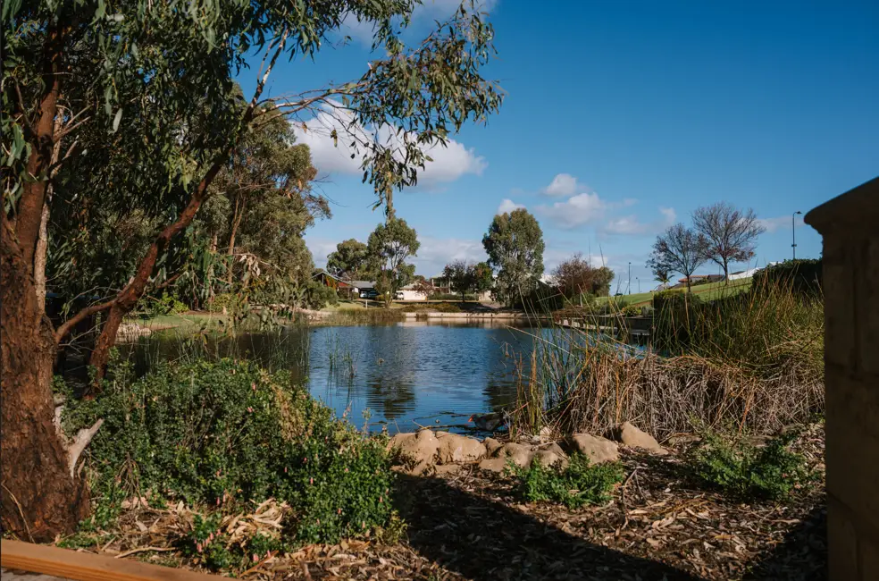 Small lake surrounded by rockery and trees 